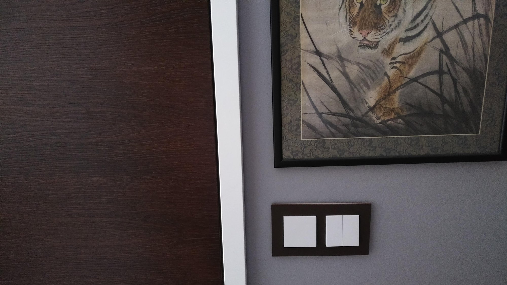 GIRA switches and tiger artwork